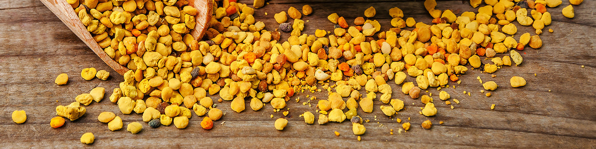 Benefits of Bee Pollen | Honeys of New Zealand