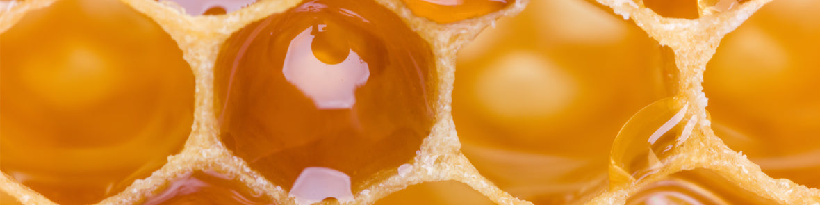 New Zealand Honey | Honeys of New Zealand