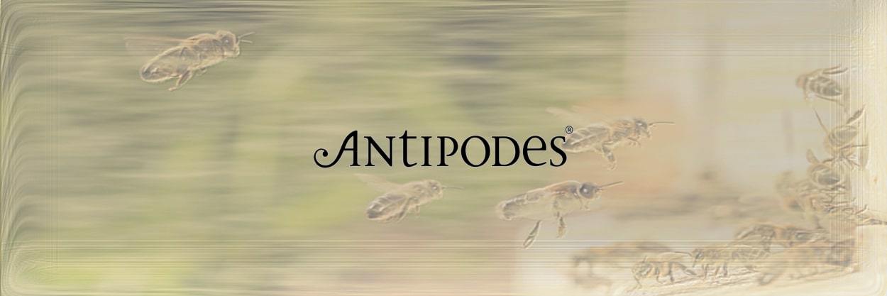 Antipodes | Honeys of New Zealand