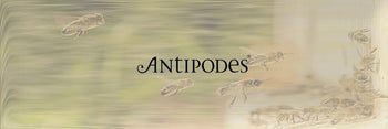 Antipodes | Honeys of New Zealand