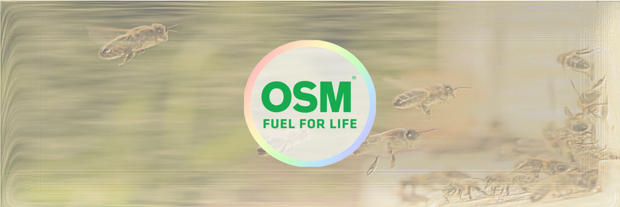 OSM | Honeys of New Zealand