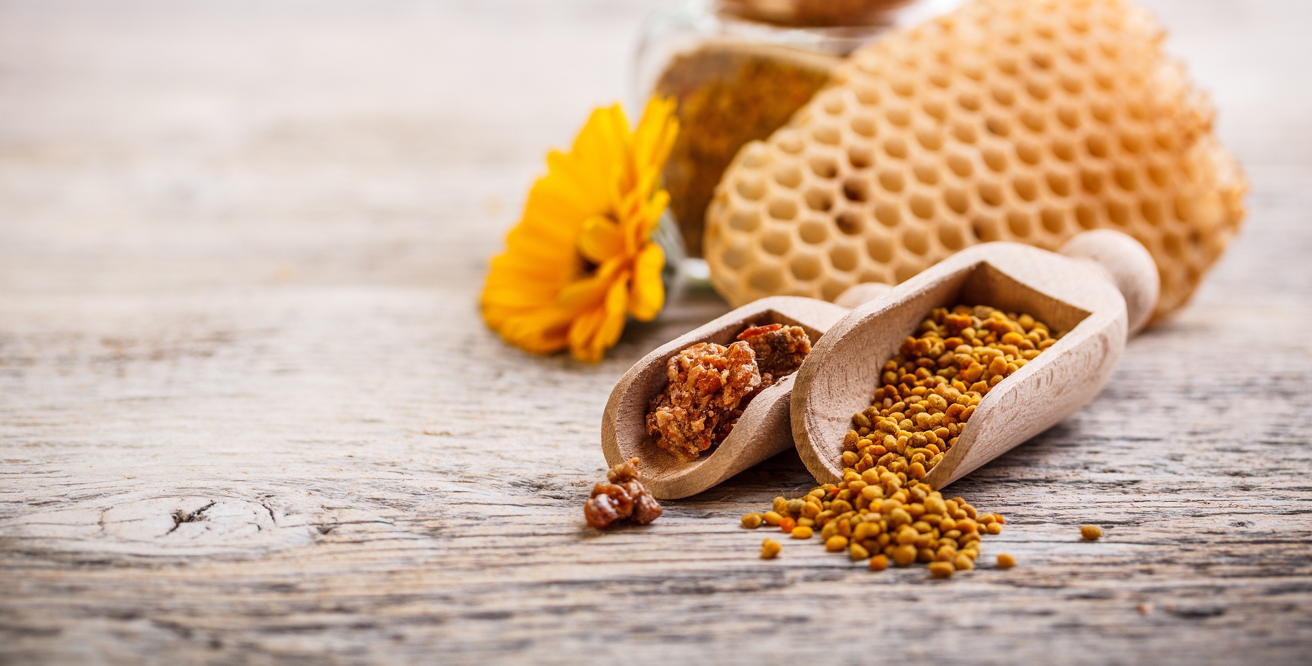 Bee Pollen | Honeys of New Zealand