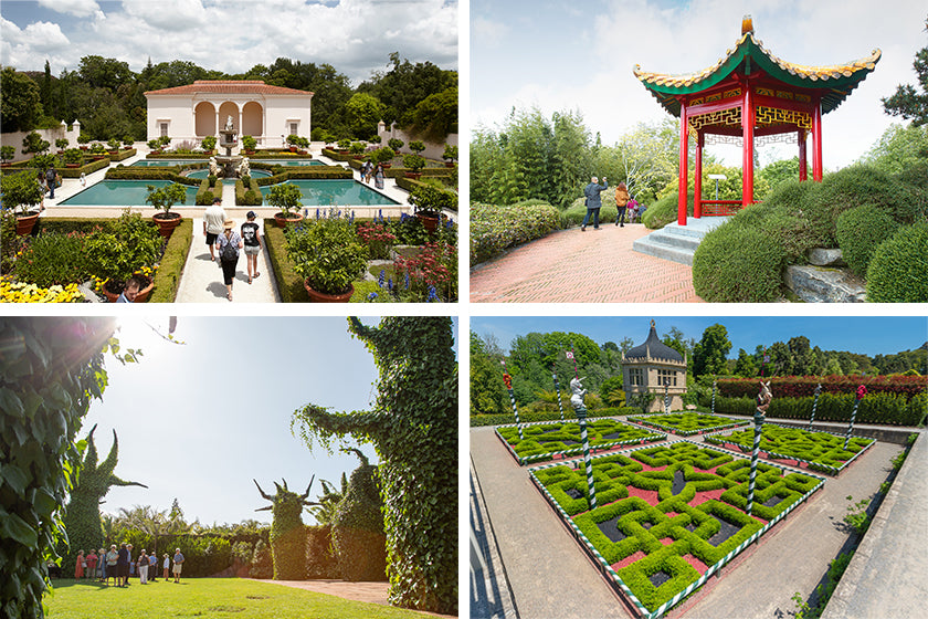 Botanic Garden | Hamilton New Zealand